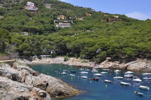 El Síndic investiga la modificació del POUM de Begur que permet més edificacions a Aiguafreda
