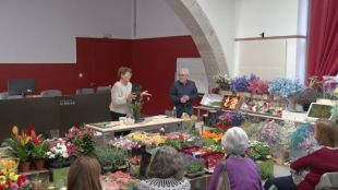 Formen als voluntaris del Temps de Flors que no tenen coneixements de botànica