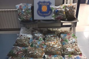 A presó dos homes detinguts a Alp per portar 22 quilos de marihuana al cotxe