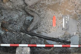 Descobreixen una pala de fusta al jaciment de la Draga de Banyoles, una peça única del Neolític