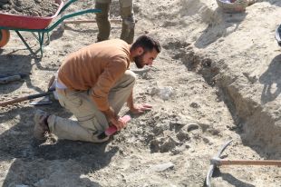 Descobreixen una fossa d'animals sacrificats per botulisme a la vil·la romana de Vilauba