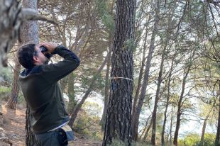 La salut dels boscos catalans està empitjorant pel canvi climàtic, la sequera i la presència de plagues