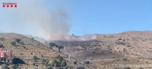 Els Bombers treballen en un incendi de vegetació a tocar l'N-260 a Portbou