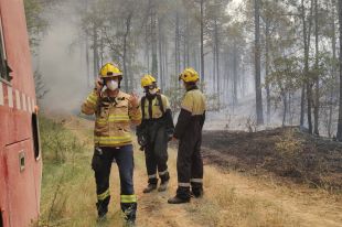 Els Ajudants d'Ofici Forestal reclamen poder treballar tot l'any per fer prevenció d'incendis