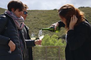 La DO Empordà celebrarà mig segle amb la primera edició del Festival Terrer