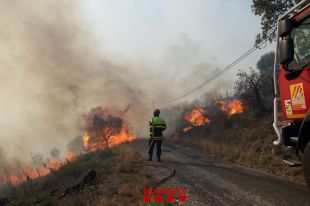 El foc de la Catalunya Nord i Portbou ja ha cremat 750 hectàrees