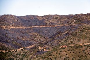 Els Bombers confien donar per controlat l'incendi de Portbou aquest vespre
