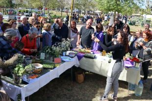 Salt celebra la 13a Fira de la Flor i el Planter amb bona acollida d'assistents