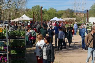 La 15a edició de la Fira de la Flor i el Planter de Salt tindrà 28 expositors
