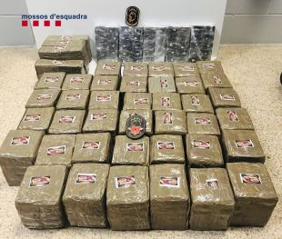 A presó un jove que van enxampar amb 102.080 euros en haixix a Pont de Molins