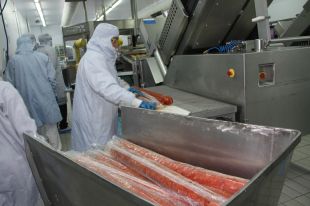 Empresa i Treball impulsa la digitalització de 138 empreses gironines amb 1,75 MEUR en ajuts directes
