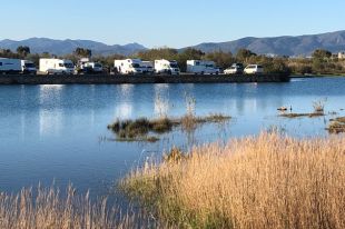La IAEDEN denuncia diverses ''activitats il·legals'' al Fluvià Marina de Sant Pere Pescador