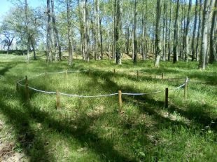 Girona delimita tres illes de plantes a la Devesa per generar llavors i augmentar la biodiversitat