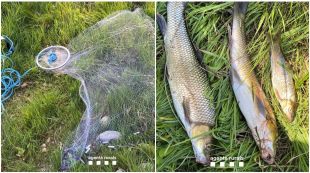 Denunciat un home que pescava amb rall al riu Fluvià a Bàscara