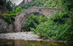 Troben a Ribes el cadàver esquelètic d'un home desaparegut el 2022
