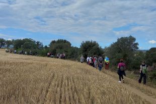 El TSJC bloqueja el projecte de la variant de Vilafant per falta d'informes
