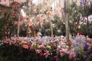 Un bosc de fades decora la capella de Sant Lluc pel Girona, Temps de Flors