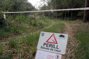 Els pagesos gironins demanen poder rellevar a la nit els caçadors i matar senglars