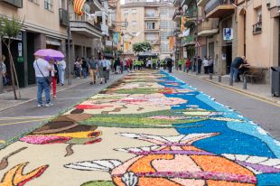 Arbúcies viu Concurs de Catifes de Flors passat per aigua