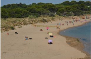 L'ACA indica que la platja del Rec del Molí a l'Escala és apta pel bany