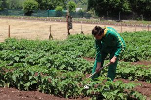 Agricultors i ramaders alerten: ''la pagesia gironina està en perill''