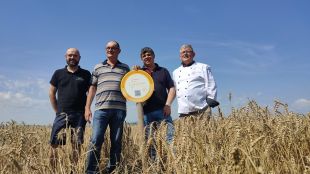 Farina de Girona preveu un 50% menys de producció per la sequera