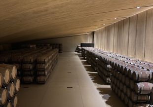 El nou celler de Perelada, finalista dels XX Premis Catalunya Construcció