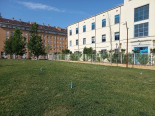 Girona testeja amb la UdG nous models de sega i sembra als parcs i jardins