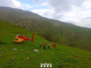 Ferit greu un home a Queralbs que va ingerir tora blava, la planta més tòxica d'Europa