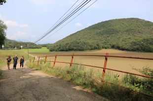 Una nova guia tècnica vol reduir l'impacte de les vies verdes i preservar la biodiversitat