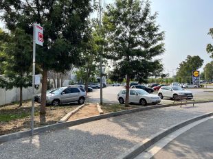Palafrugell manté el servei gratuït d'autobús per arribar fins les havaneres d'aquest dissabte