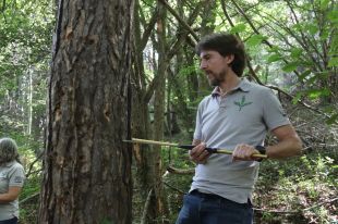 La Generalitat subvencionarà els propietaris de boscos madurs per mantenir-hi la biodiversitat