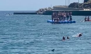 Dues tintoreres generen alarma a la platja de Portbou