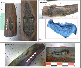 Troben les marques més antigues en gestió forestal al jaciment de la Draga de Banyoles