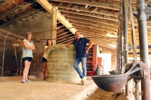 Plega l'última granja lletera de la Vall de Ribes però mantindrà l'elaboració de matons i iogurts