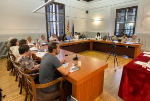 El plenari de Ripoll condemna una piulada ''racista'' de l'Ajuntament