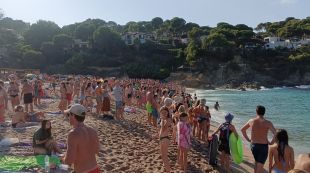 Tanquen la platja Sa Riera de Begur per la presència de dos taurons
