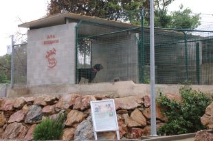 Disminueixen els abandonaments d'animals després de la pandèmia