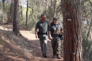Investiguen la mort d'una vintena d'ànecs coll verd al riu Fluvià al seu pas per Olot