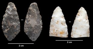 Descobreixen restes d'animals i materials de fa 20.000 anys a la cova d'en Pau de Serinyà