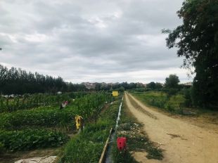 Girona ofereix tallers de gastronomia local i visites guiades a les hortes de Santa Eugènia