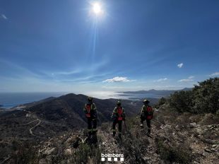 Delort atribueix a la cautela el fet que no es permetés actuar les ADF a l'incendi de Portbou i Colera