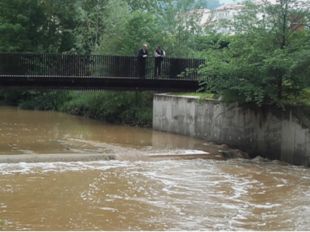 L'ACA impulsa la construcció d'un nou punt de control de cabal d'aigua al riu Freser a Ripoll