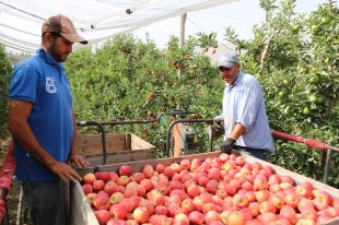 Girona frega els 391.500 afiliats a la Seguretat Social, la xifra més alta des del 2012