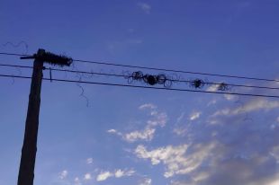 Un nou robatori de cable deixa un nucli de Caldes de Malavella sense telèfon ni internet