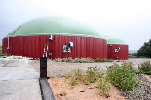 Tres poblacions gironines tindran plantes de generació d'energia amb excrement animal