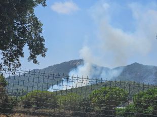 Divuit dotacions dels Bombers treballen en un incendi forestal a Sant Feliu de Guíxols