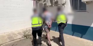 Dos detinguts responsables d'un cultiu amb 548 plantes de marihuana a Bescanó