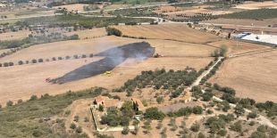 Un incendi agrícola crema unes dues hectàrees de camps a Pont de Molins