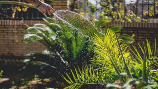 Girona recorda als veïns les restriccions en el reg de jardins i l'ompliment de piscines